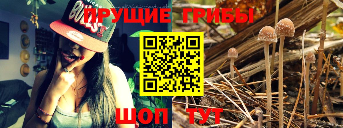 Похвистнево  Псилоцибиновые грибы Magic Shrooms  Вход с VPN 